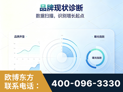 邹城-品牌现状诊断