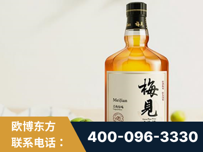 邹城-梅见青梅酒